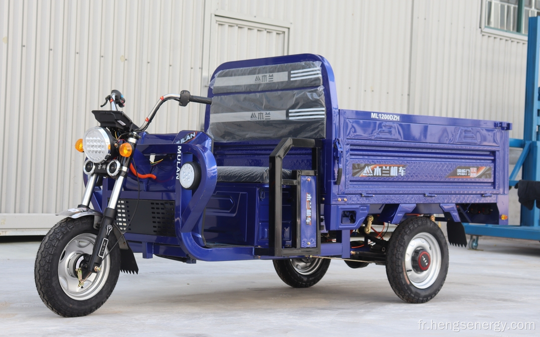 Tricycle de cargaison électrique Nouveau design à vendre