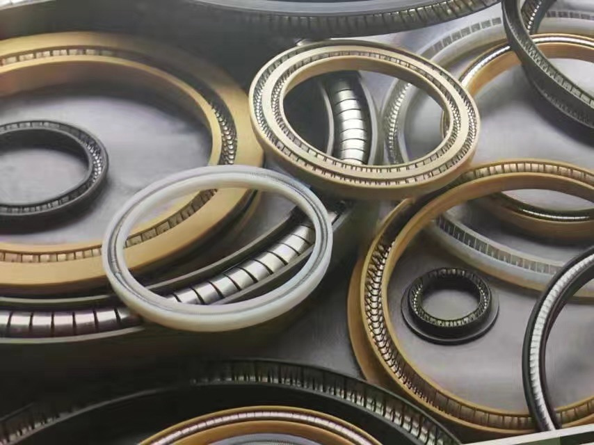 Ptfe Oil Seal Ring