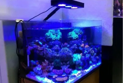 marine led lighting reef lamps led aquarium light