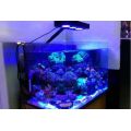 Luzes de aquário Lâmpada de clipe de clipe de recife de espectro completo