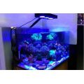 High Power Marine Aquarium Light Coral Reef Lamp