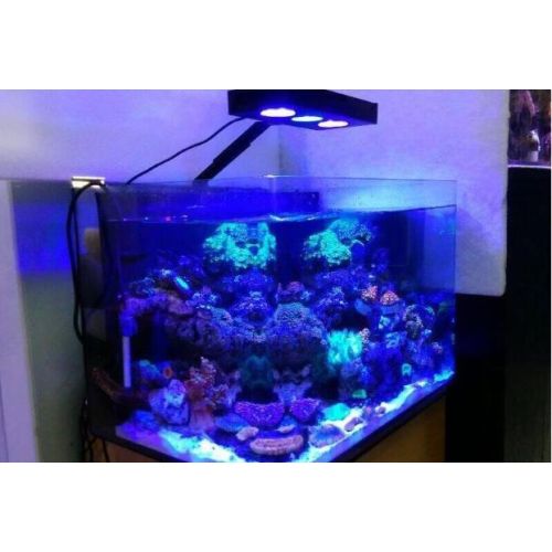 Đèn hồ cá đầy đủ quang phổ clip led đèn LED