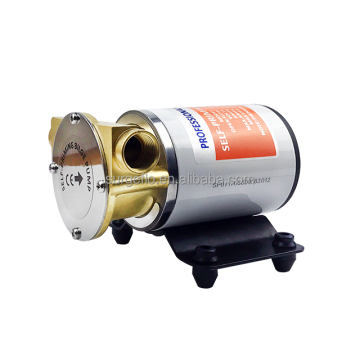 Surgeflo FIP-3200 12V 23LPM DC Mini Rotary Vane Pump/Vacuum Pump