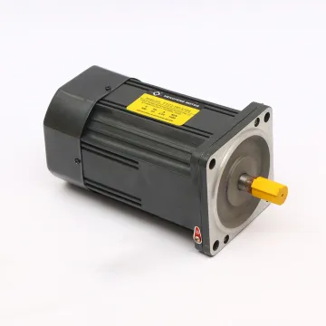 low rpm reversible 220V AC gear motor