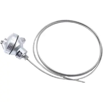Flexible Armored Thermocouple Probe with Integrated Temperature Transmitter (K-type/PT100)