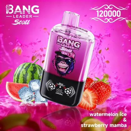Bang Leader Stoll 120k puffs vape