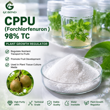 CPPU Forchlorfenuron 98% TC Cytokinin Chất điều hòa sinh trưởng thực vật