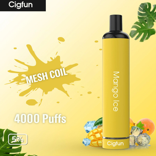 Cigfun Vape 5000 Puffs Wholesale Factory