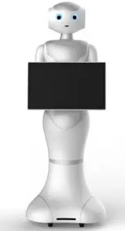 Intelligent humanoid welcome robot reception service robot
