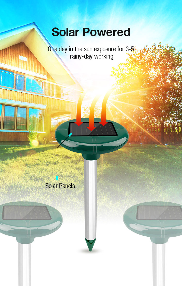 Outdoor Mole Repeller (3)