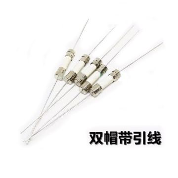 6.3A 250V सिरेमिक फ्यूज ट्यूब T6.3AH250VP - पिन के साथ धीमी गति से पिघलना