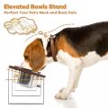 Elevated Dog Tilted Bowls Stand Set