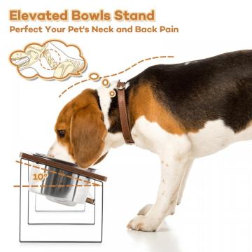 Elevated Dog Tilted Bowls Stand Set