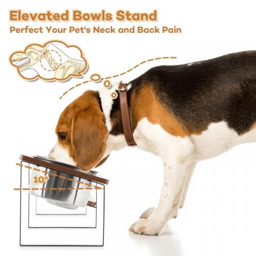 Stand de tigelas inclinadas para cães elevados