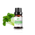 Organic Centella Essential Oil for Cosmetic Use