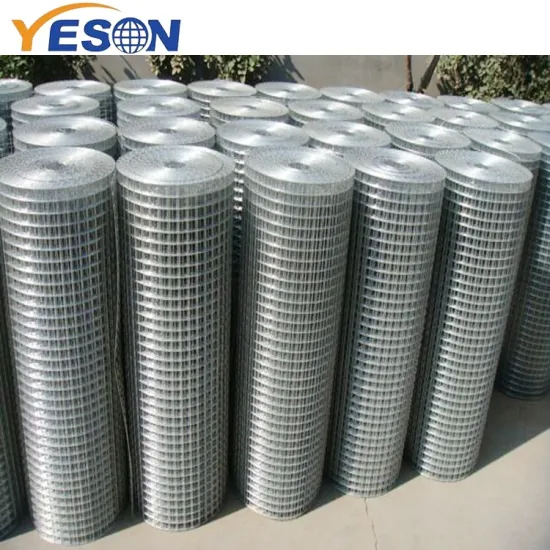Hot Dipped Galvanized Welded Wire Mesh for Garden & Agriculture Fencing