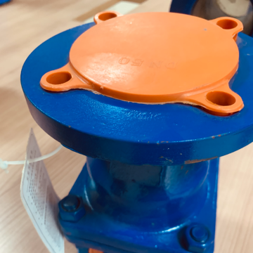 Rayhot kaliteli PTFE Compansator