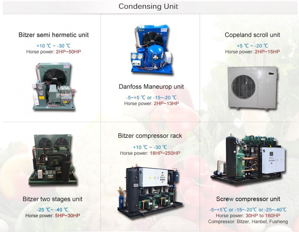 Bitzer Compressor For Meat Cold Room