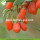 Fabrik-Versorgungsfrucht-Paket-niedrige Zucker Goji Beeren