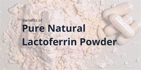 lactoferrin