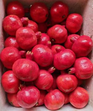 Premium Binchuan Pomegranate Delight DLXG Original Alpine Fresh Fruit