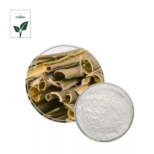 Antibacterial ingredients of White Willow Bark Extract