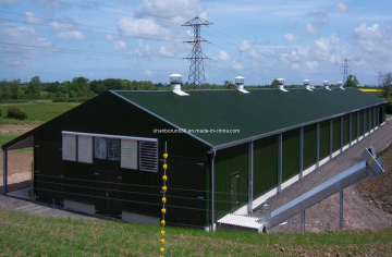 Ghana Prefabricated Steel Structure Enclosed Poultry House/Chicken House (br00185)
