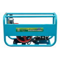 Machine de pulvérisation agricole haute puissance 220V 1000W