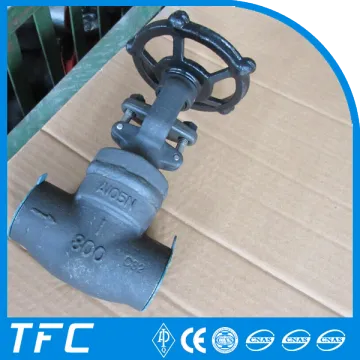 socket weld welded bonnet gate valve