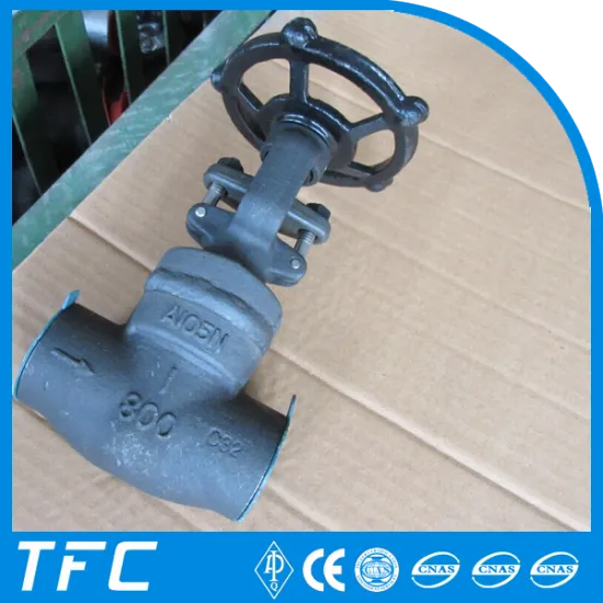 API 602 forged steel A105 globe valve