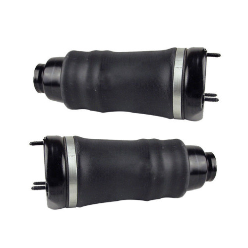 Suspensão do airbag 2513203013 para Mercedes W251