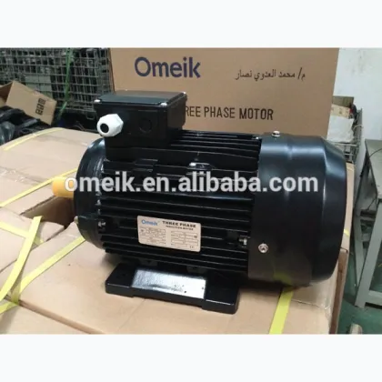 MS general electric motors