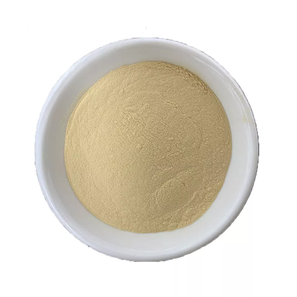 Ginseng Extract Powder 