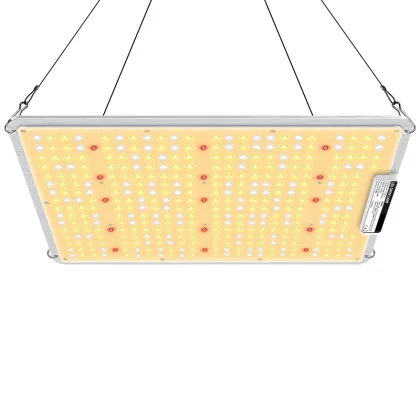 LED Lamp 150W for Growing 375 LEDs