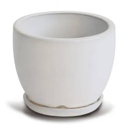 Garden Ceramic Plant Pot
