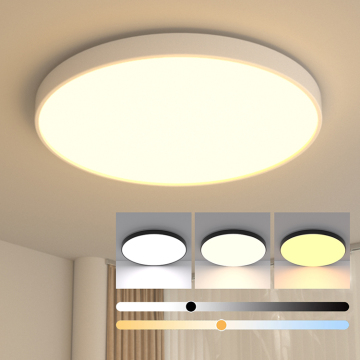 Low-Priced 18W LED Ceiling Light - Remote Control Home Decorative Round LED Light