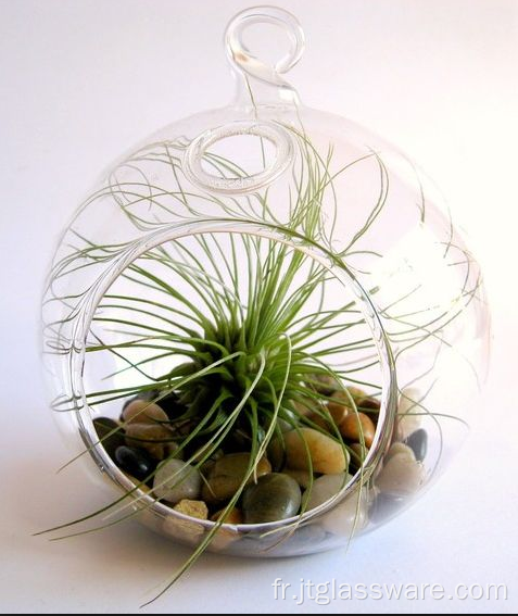Terrariums Airplant en verre transparent soufflé à la bouche