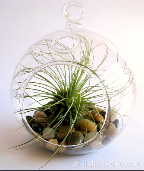 Mouth Blown Glass Airplant Terrariums