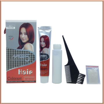 China Guangzhou Manufacturer Professional Hair Color Wholesale