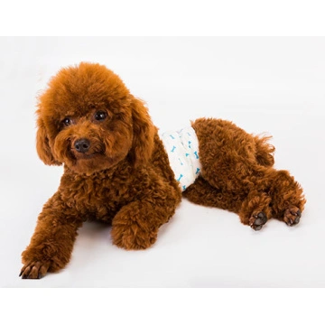 dog grooming clothing suppliers