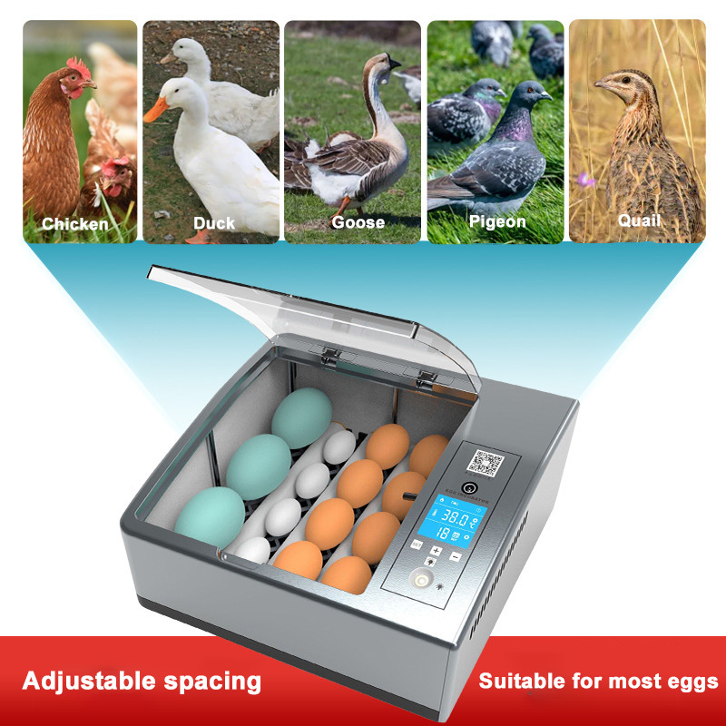 Small household automatic intelligent egg incubator chicken duck goose pigeon mini incubator
