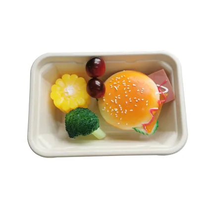 Disposable Tableware Food Packaging 650ML Sugarcane Boxes