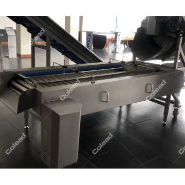 Roller Selecting Picking Machine para vegetales redondos