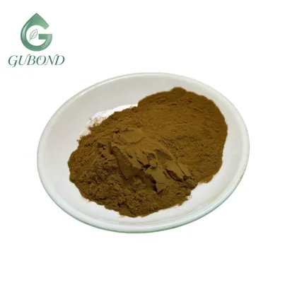 Pure Okra Extract 20 1Powder Abelmoschus esculentus Extract