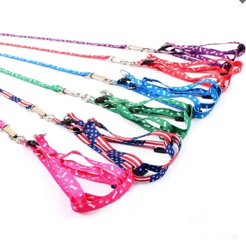 2022 New Affordable Soft Nylon and Polyester Pet Collar with Custom Print for Small Puppy Dogs - 1CM Leash