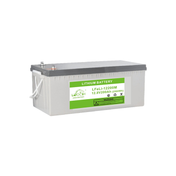 Made in China LB-LFeLi-12200M-12V200AH Leoch Lithium Iron Battery