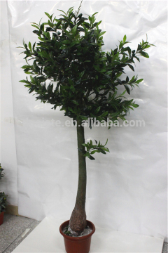 indoor home decoration 1.7m Height artificial plastic green olive shaped bonsai tree E12 12M28
