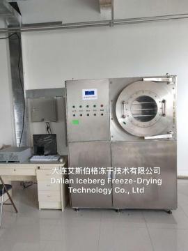 Small Freeze Drying factory