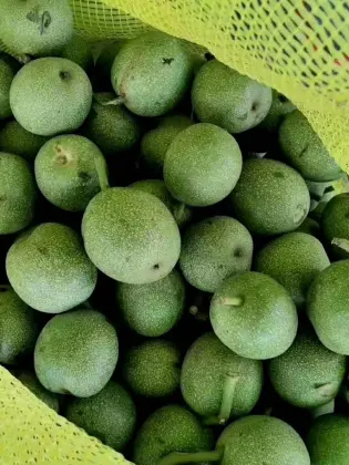 New Crop Walnut Without Shell  kernels Xinjiang Origin