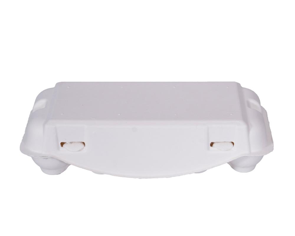 Biodegradable unprinted paper pulp egg packaging cartons
